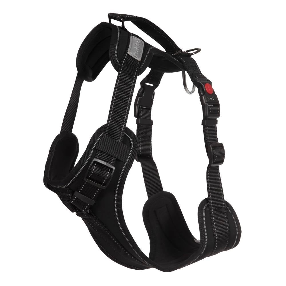 Solid Harness XS