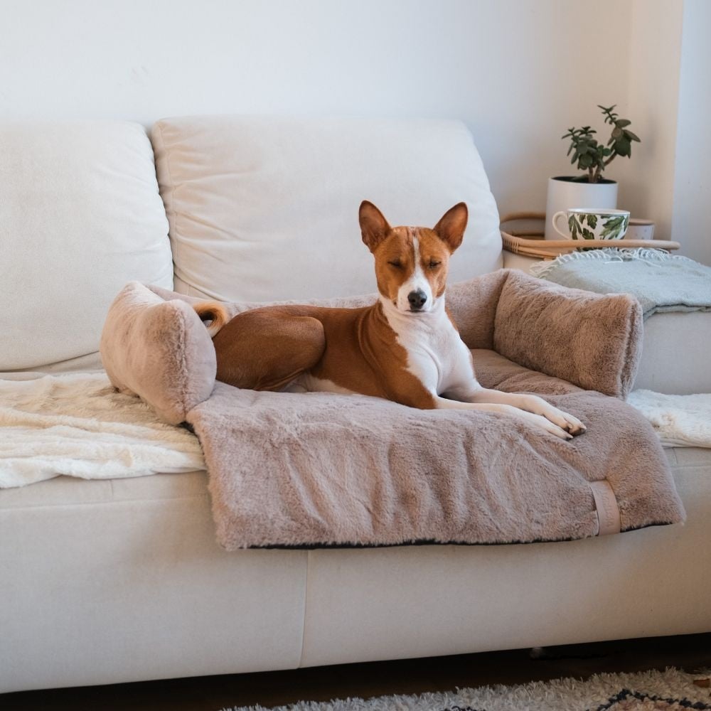 NUZZLE Sofa Bed - Taupe small