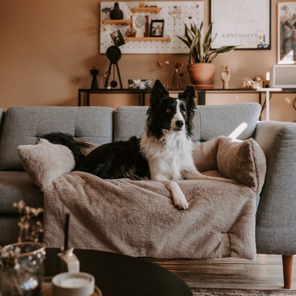 NUZZLE Sofa Bed - Taupe small