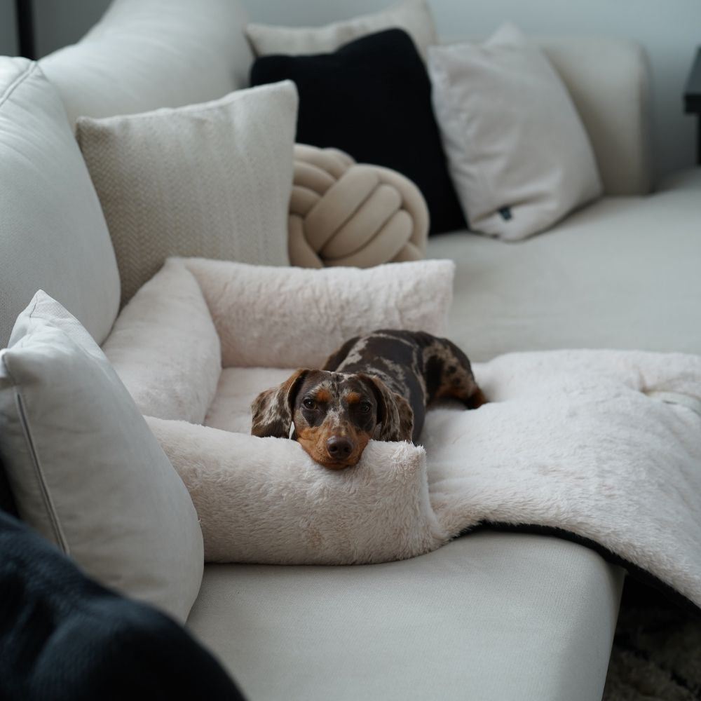 NUZZLE Sofa Bed - Merengue medium