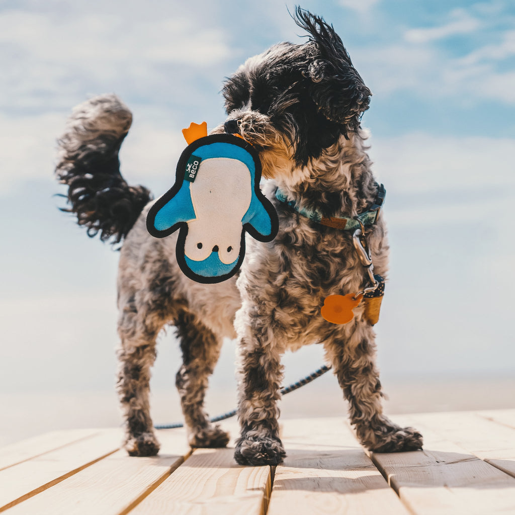 Rough & Tough Recycled - Pinguin - Small