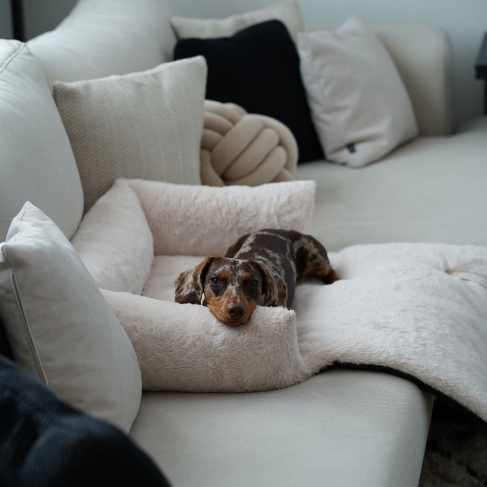 NUZZLE Sofa Bed - Merengue medium