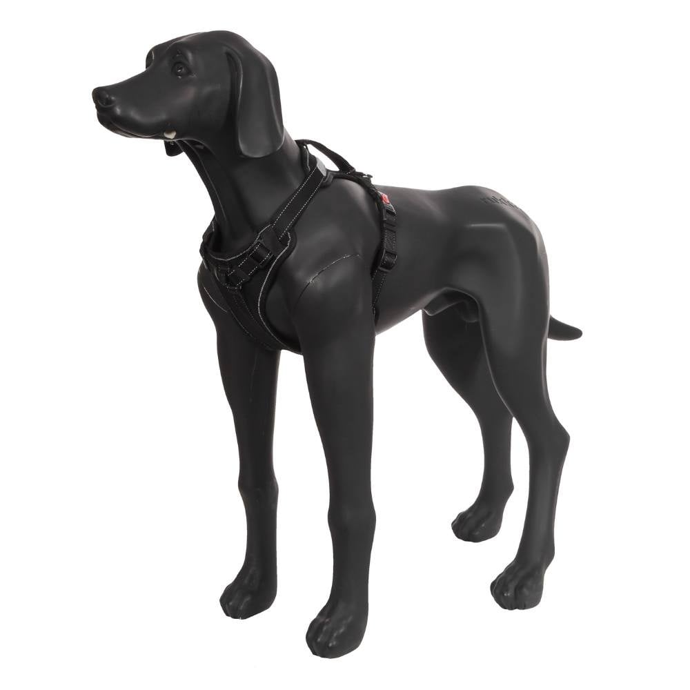 Solid Harness XS