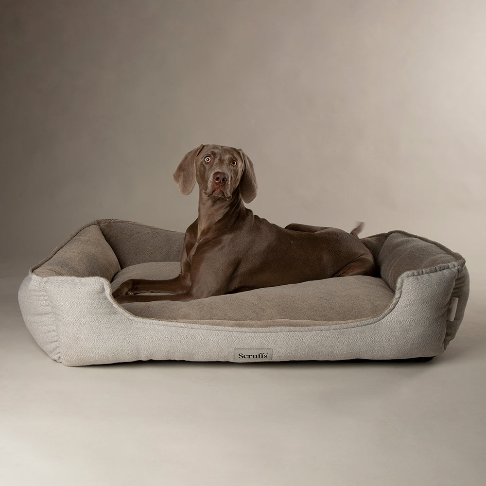 Harvard Memory Foam Orthopedisch Box Bed - Grijs XXL