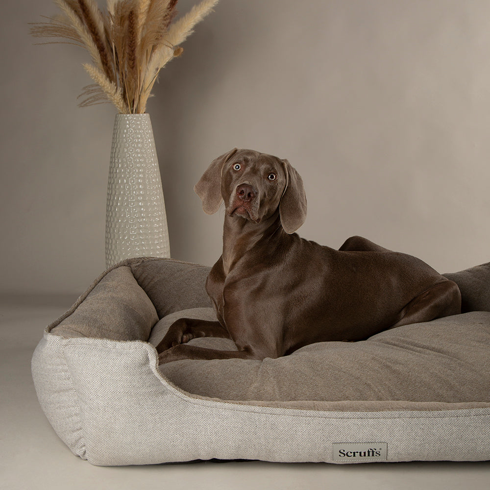 Harvard Memory Foam Orthopedisch Box Bed - Grijs XXL