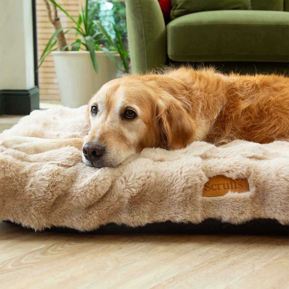 Scruffs - Alpine Mattress – Champagne L