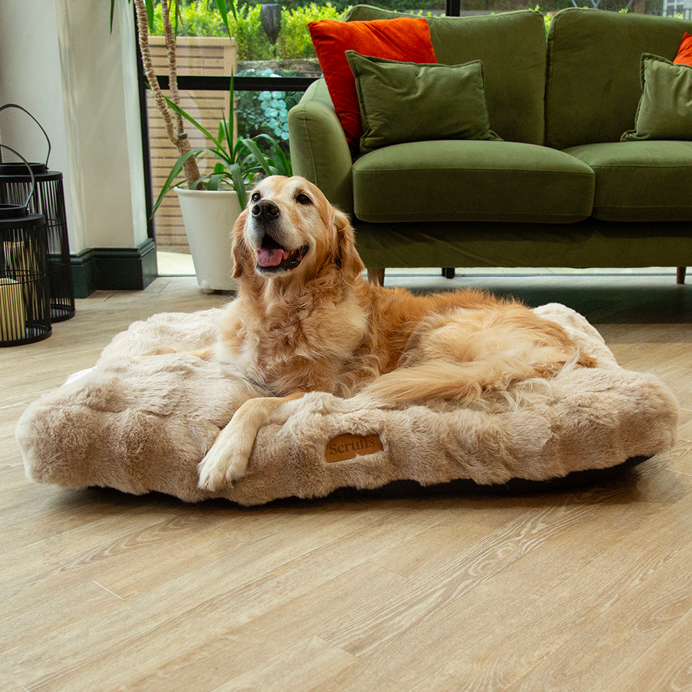 Scruffs - Alpine Mattress – Champagne L