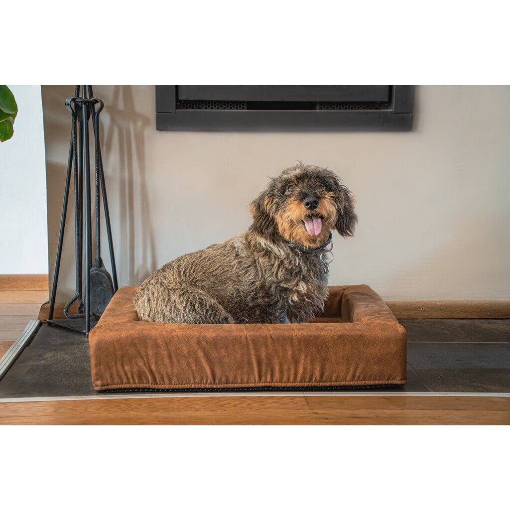 Let's Sleep Comfy Cushion Hondenmand