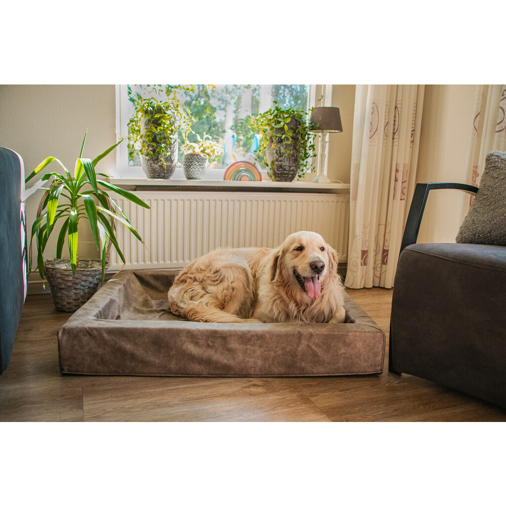 Let's Sleep Comfy Cushion Hondenmand