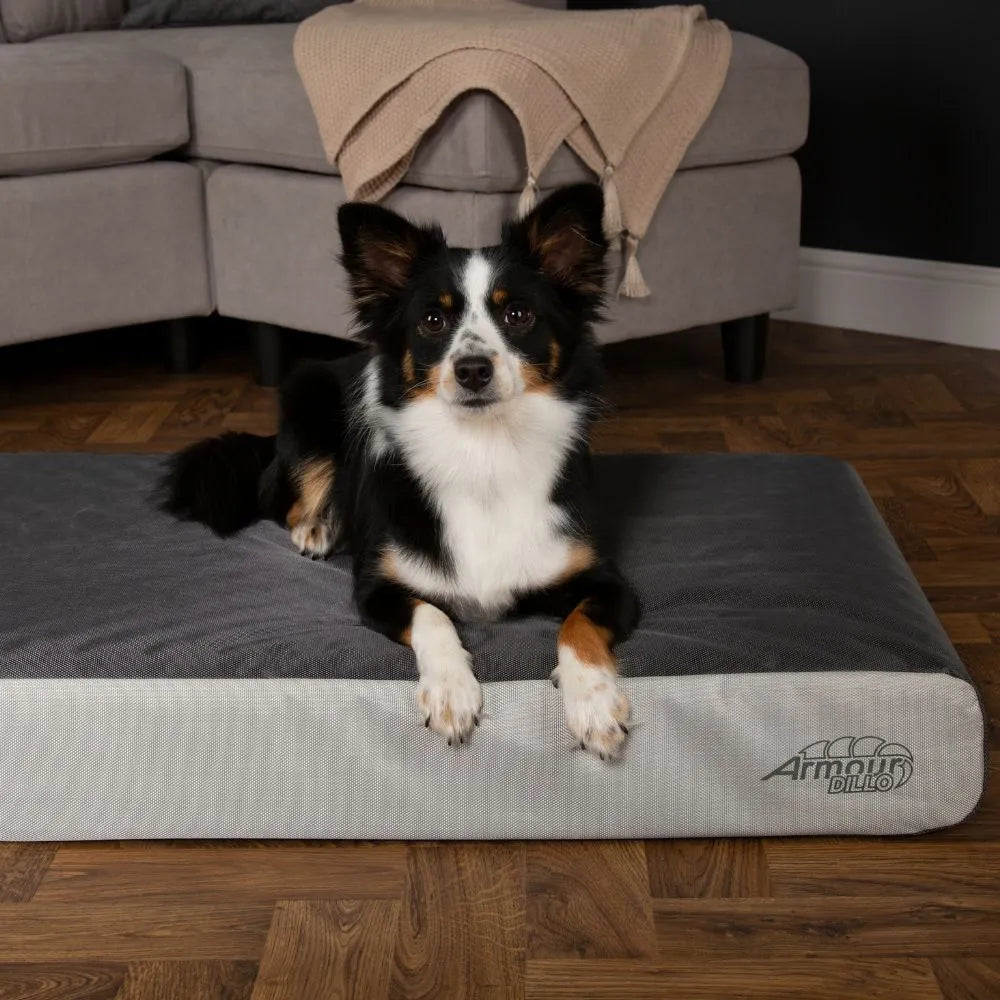 ArmourDillo Orthopedisch Hondenbed Large
