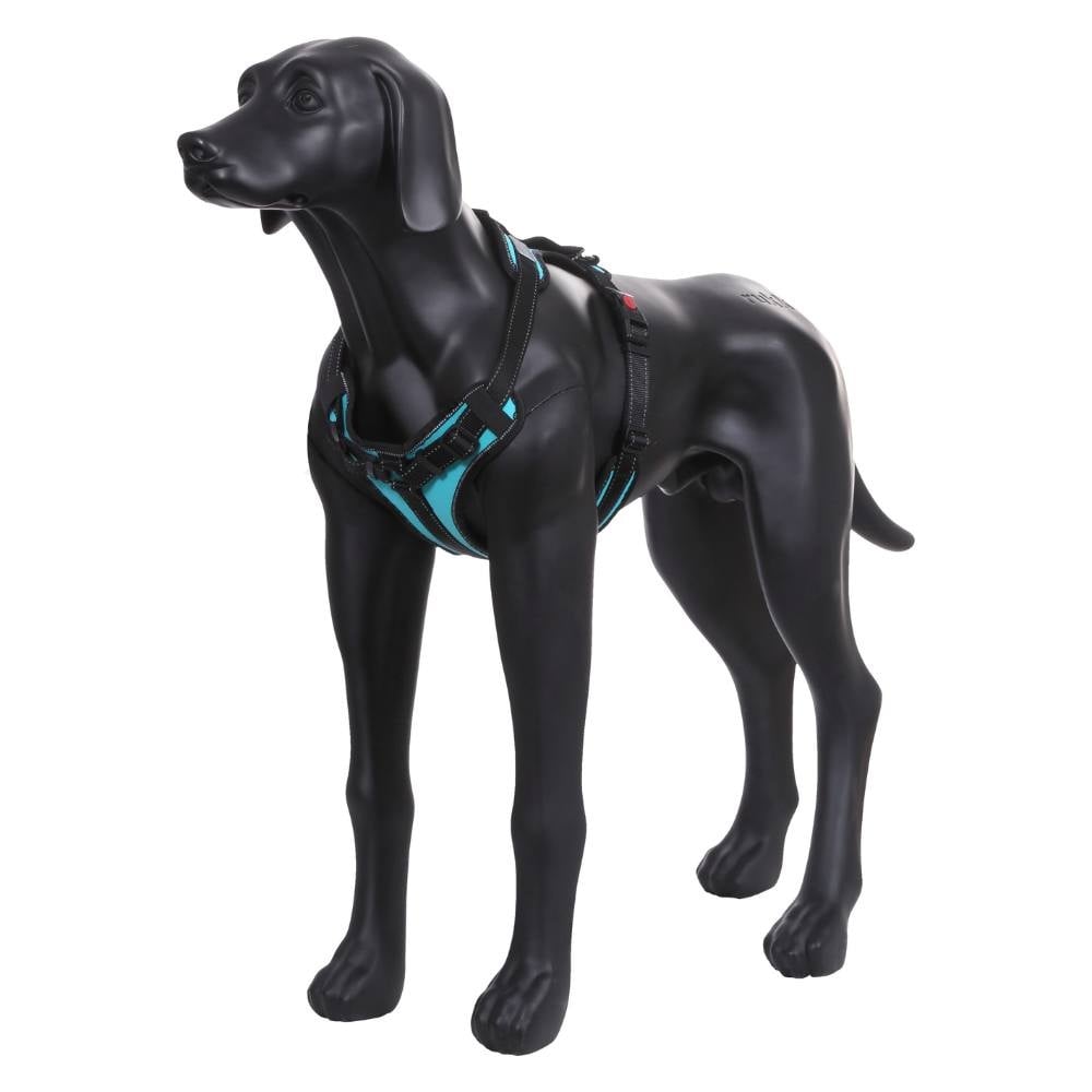 Solid Harness S