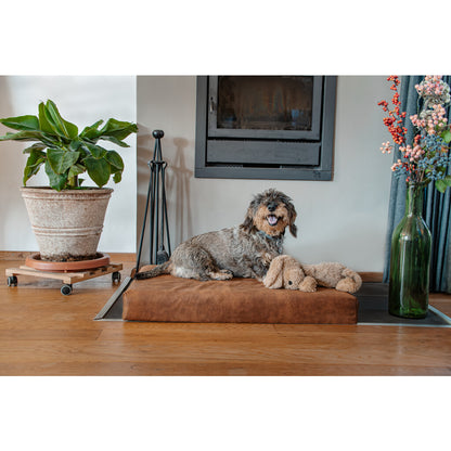 Let's Sleep Mellow Mattress Orthopedisch Kussen