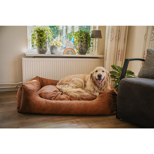 Let's Sleep Sweet Dreams Hondenmand Met Kussen