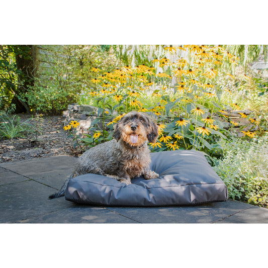Let's Sleep Cushy Cloud Hondenkussen Buiten